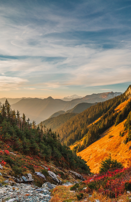 mountain